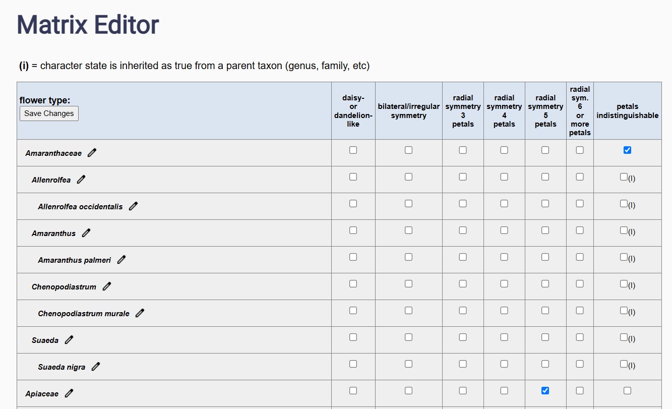 Character Matrix Editor