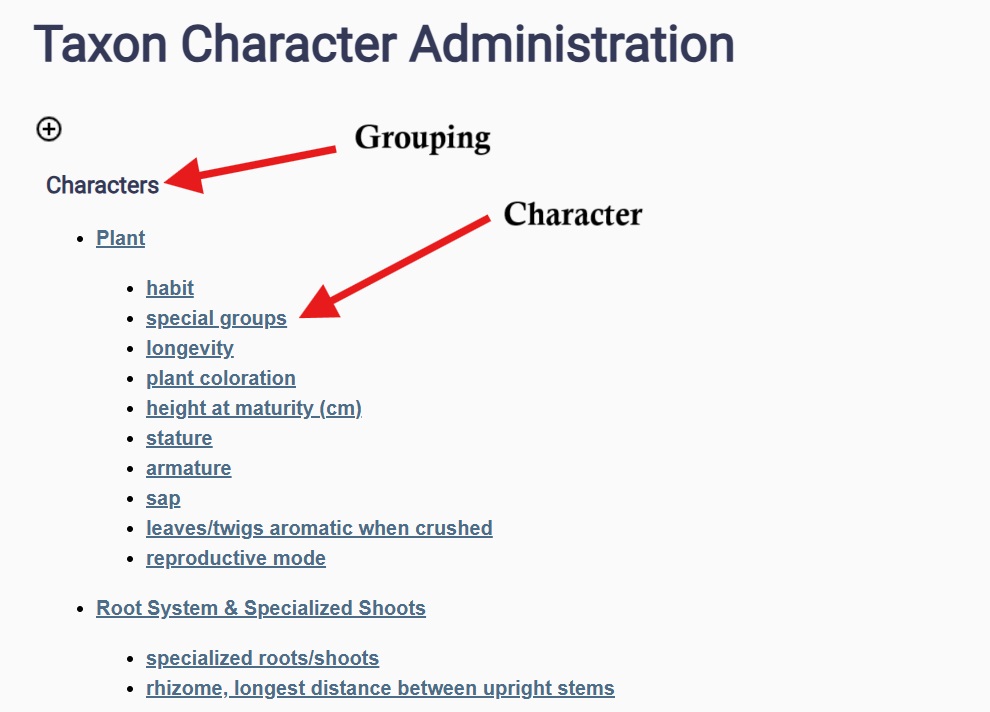 Identification Keys Example