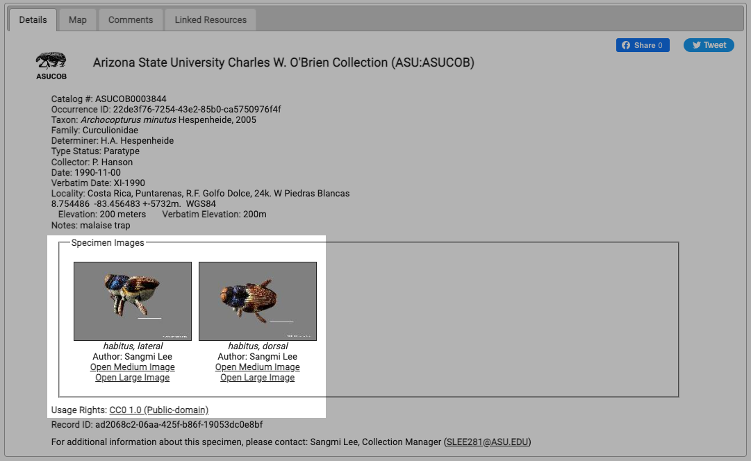 Search Results Example