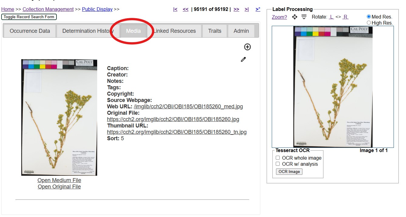 Media Tab
