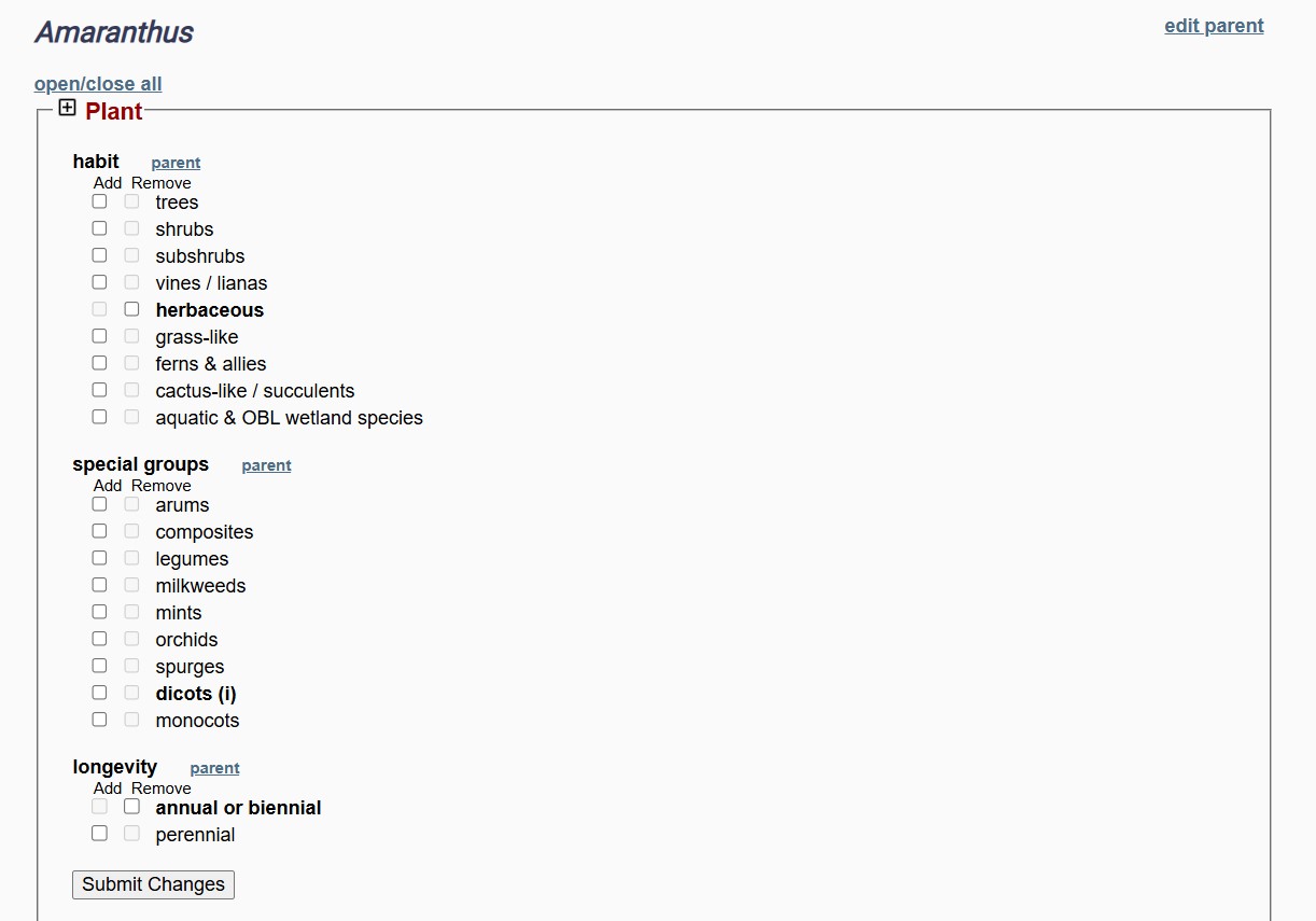 Character States for a Single Taxon