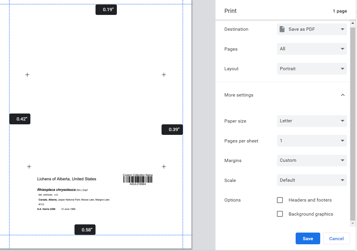 Print Preview when Printing a Packet