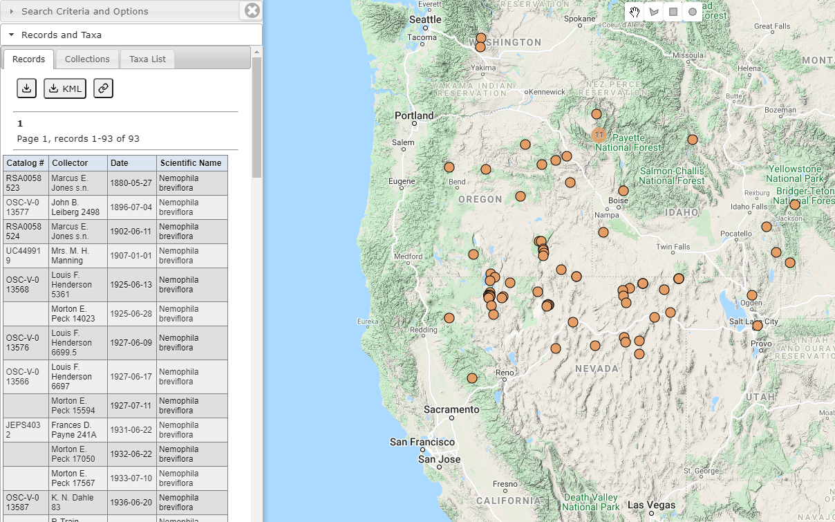 Map Search Display