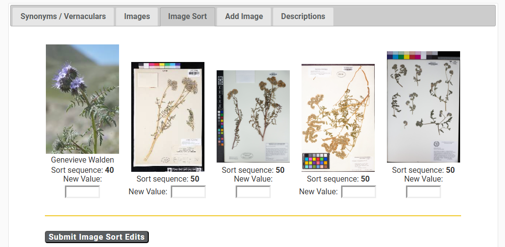 Sort Images in the Taxon Profile Editor